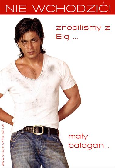 Shah Rukh Khan - balaganik_ela.jpg