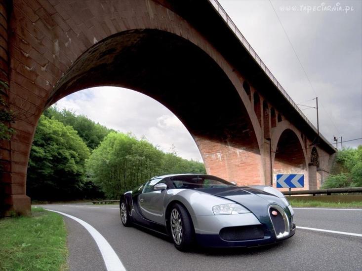 samochody - 9470_bugatti_veyron_stary_most.jpg