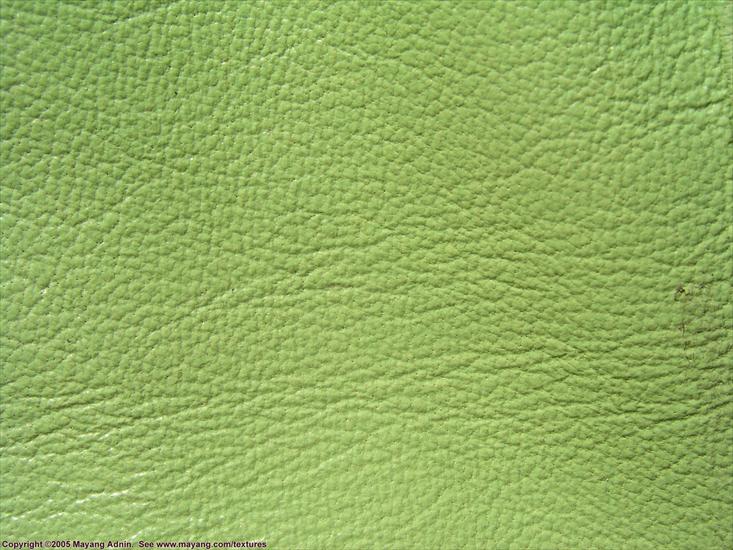 Plastik makro - fake_green_leather_9271258.JPG