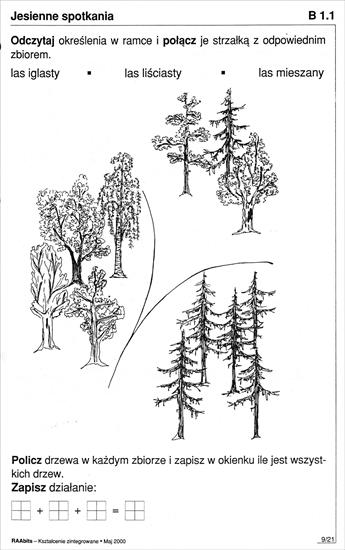 środowisko społeczno - przyrodnicze - typy lasów - oblicz matematyczne.jpg