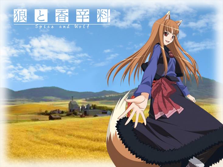 Spice and Wolf - 1.png