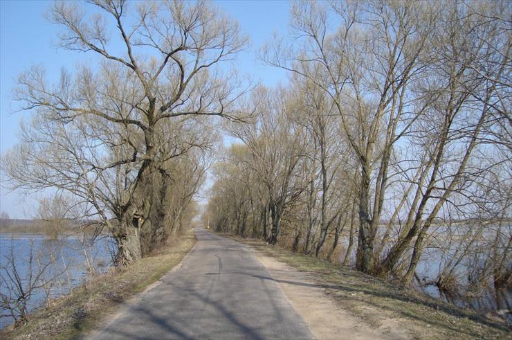 Podlasie - Rzeka Biebrza w Goniądzu.jpg