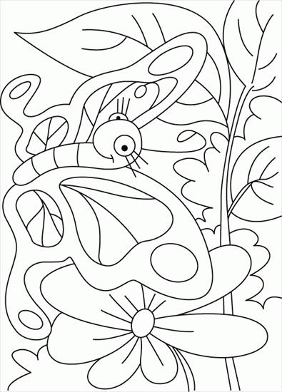Motyle gąsienice - motyle - kolorowanka 81.GIF
