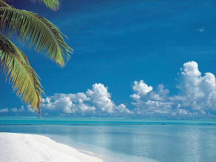 Różne - Tropical Beach, Aitutaki, Cook Islands.jpg