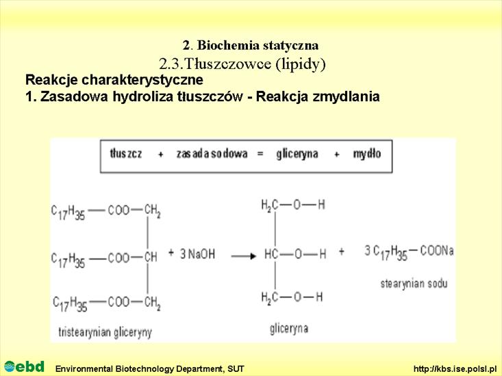 BIOCHEMIA 2 - biochemia statyczna - Slajd40.TIF
