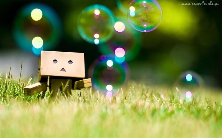  Danbo  - 66878_danbo_trawa_banki.jpg