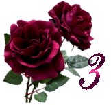 Bordowa róża - 3.jpg