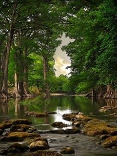 KRAJOBRAZ - River_Nature2.jpg
