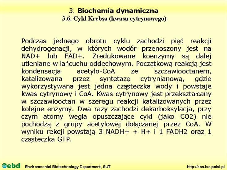 BIOCHEMIA 4- metabolizm tł, cukr, amino, Krebs - Slajd21.TIF
