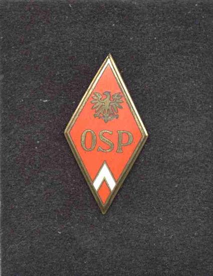 Szkoły oficerskie  w latach 1952-1972 - odznaka Oficerskiej Szkoły Piechoty - Łódź.jpg
