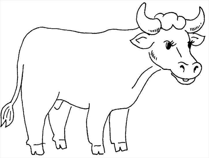 Zwierzęta i rośliny - krowa.TIF