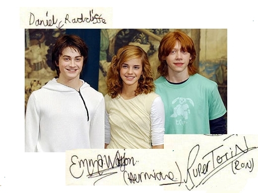 Harry Potter - wallpaper-harry-potter-14221366-512-384.jpg