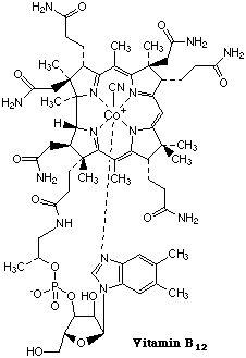 Biochemia - vitaminB12.gif