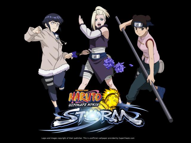 Naruto Ultimate Ninja Storm - Naruto Ultimate Ninja Storm 46.jpg