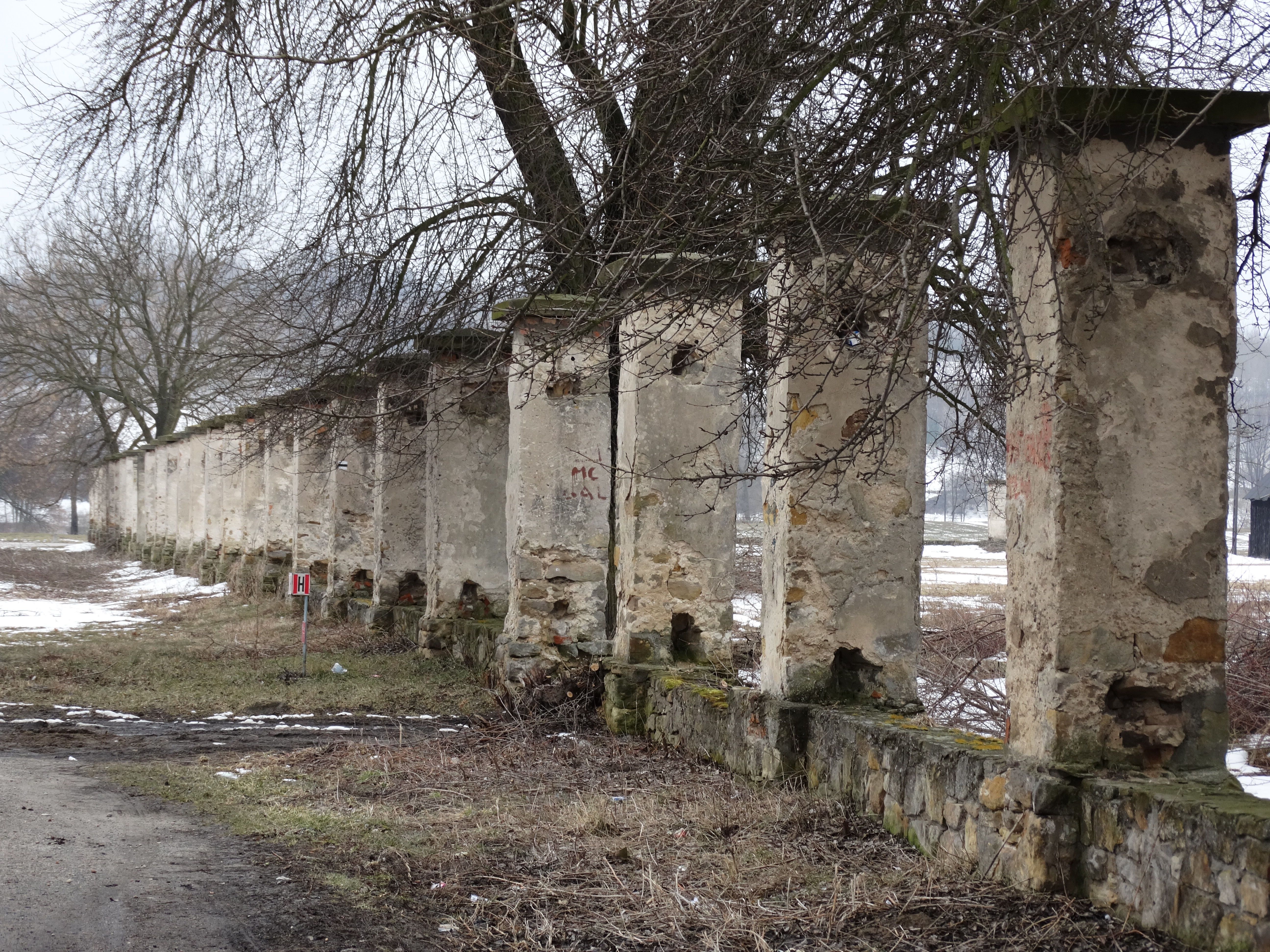 Nietulisko Duże - Ruiny walcowni - DSC00519.JPG