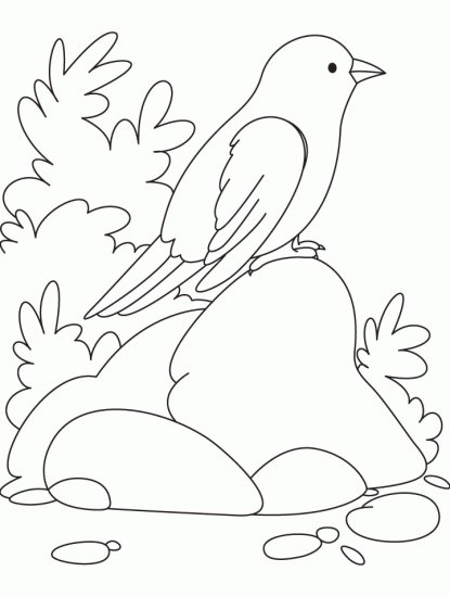 wróbel - wróbel - kolorowanka ptaki 35.GIF