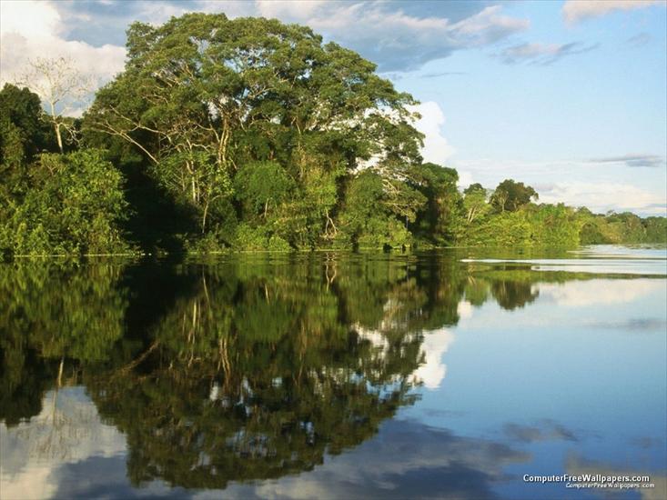 Krajobrazy i inne - Pacaya-Samiria National Peserve, Amazonia, Peru.jpg