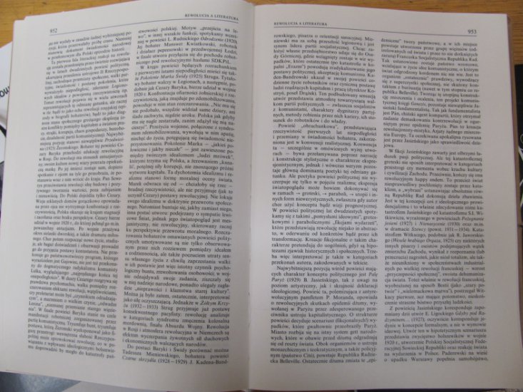 słownik XIX wieku - Rewolucja a lit. 4.JPG