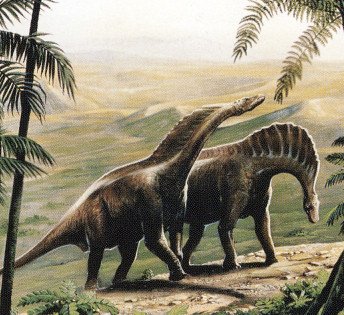 dinozaury 2 - amargasaurus.jpg