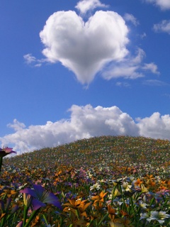 Nature - Heart_Cloud.jpg