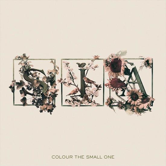 Sia - Colour The Small One 2004 Flac - cover.png
