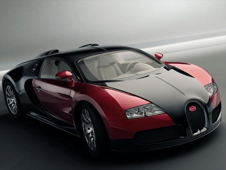 Bugatti Veyron - Bugatti Veyron2.jpg