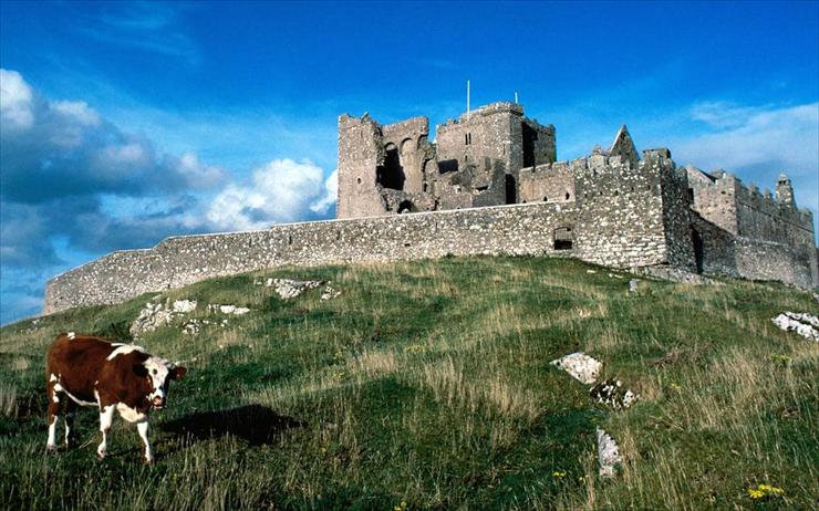MIEJSKIE KLIMATYZABYTKI - 6333-1440x900-Cashel_Castle__Ireland.jpg