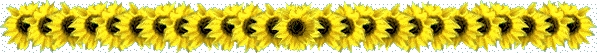 Linie Lines - sunflowers.jpg