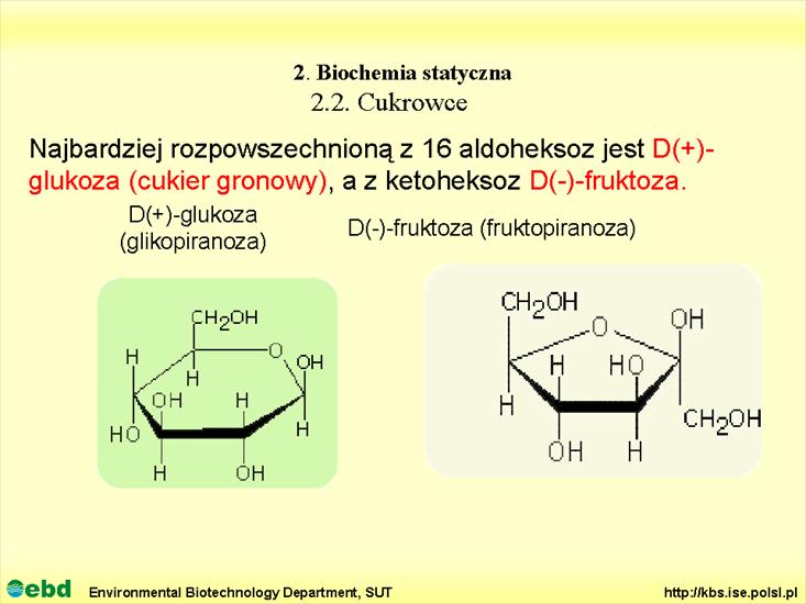 BIOCHEMIA 2 - biochemia statyczna - Slajd25.TIF
