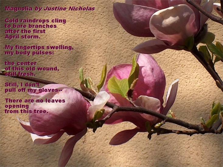 made by Seasaidh - magnolii.jpg