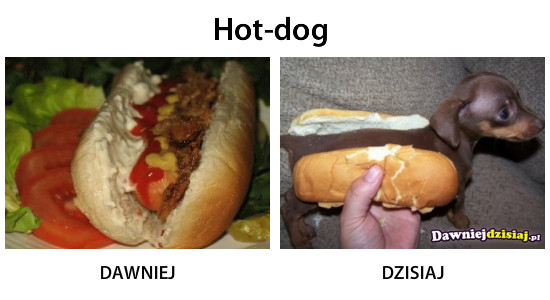 Demotywatory - hot dog.jpg