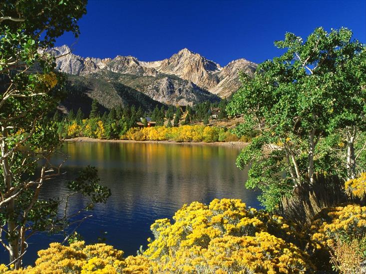 Krajobrazy - twin-lakes-toiyabe-national-forest-california.jpg