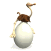 Zwierzęta - ostrich_sit1.gif