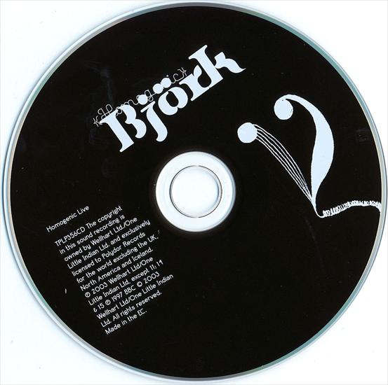 Bjork - 2004 Homogenic Live - disc.jpg