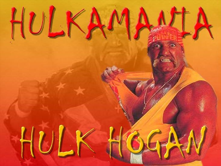 Hulk Hogan - Chulk Hogan5.jpg