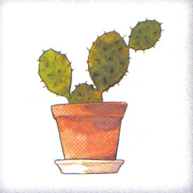 Litera K - kaktus.jpg