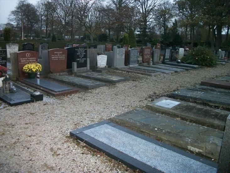 1.11.2011 cmentarz w Harlingenie - 100_2315.JPG