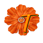 ORANGE FLOWER - T.png
