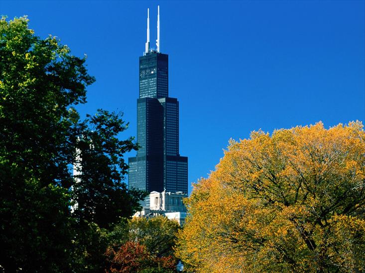 Krajobrazy - Sears Tower, Chicago, Illinois.jpg