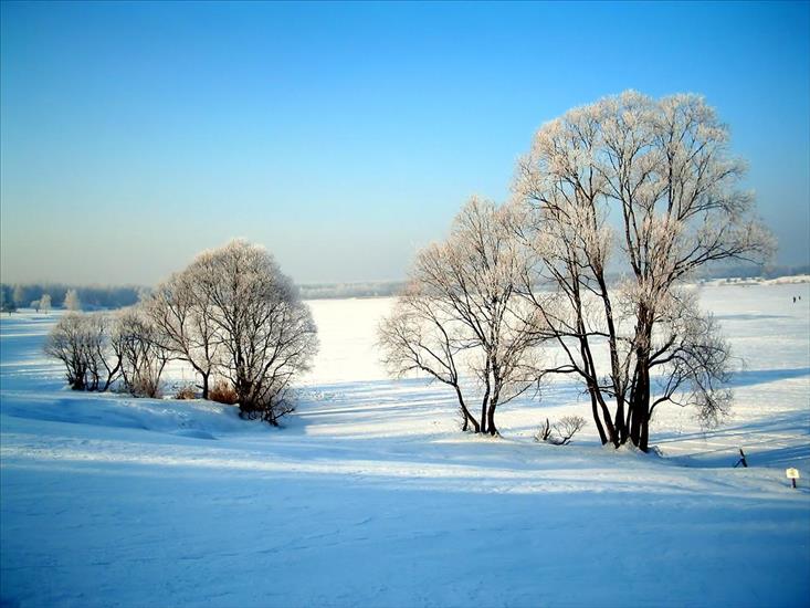 TAPETY - winter008.jpg