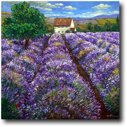 Jennifer Vranes - lavender_haze___lavender_paintings_by_jennifer_vranes1.jpg
