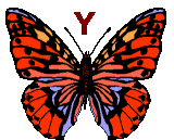 Motyle - butterfly-y-letter.gif