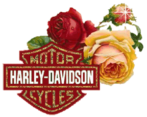 Harley Davidson - harleydavid12.gif
