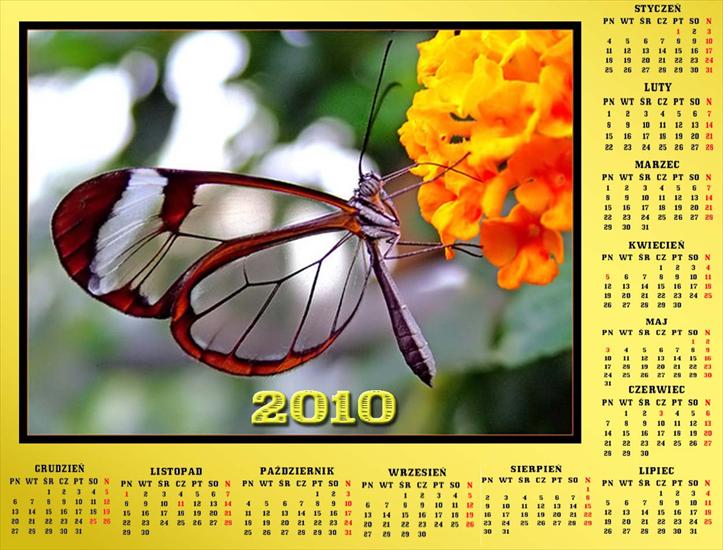 Kalendarze z motylkami - Bez nazwy 54.jpg