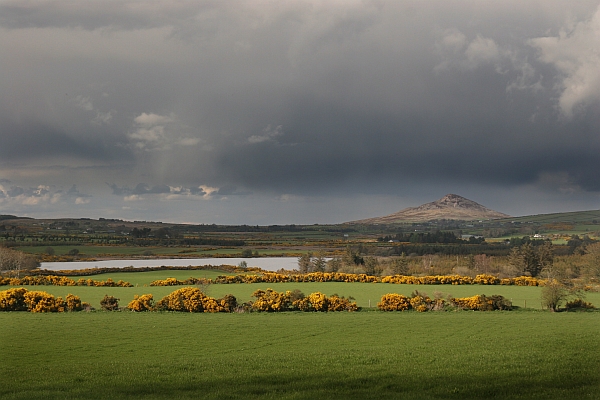 FOTO IRLANDIA GÓRY WICKLOW - 22.jpg