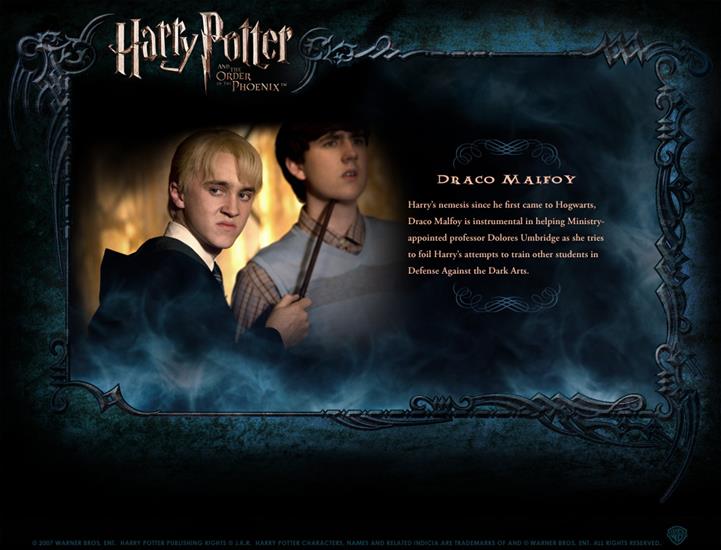 Character Profile - Character-Profile-harry-potter-130058_1050_800.jpg