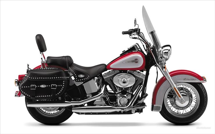 Harley Davidson - Harley 74.jpg