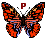 Motyle - butterfly-p-letter.gif