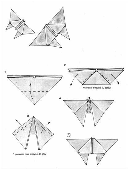 origami - koła - motyl1.jpg