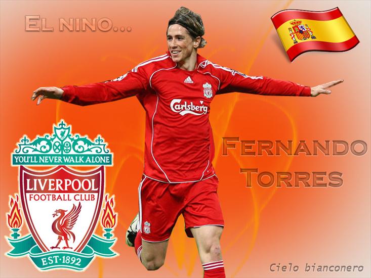 Liverpool FC - fernandotorreselnino_1024x768_121826.jpg